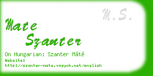 mate szanter business card